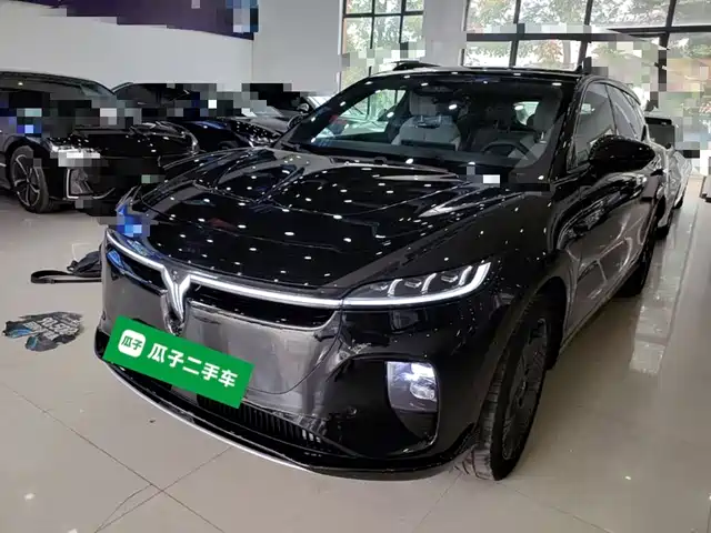 Voyah Auto Voyah Zhiyin 2024