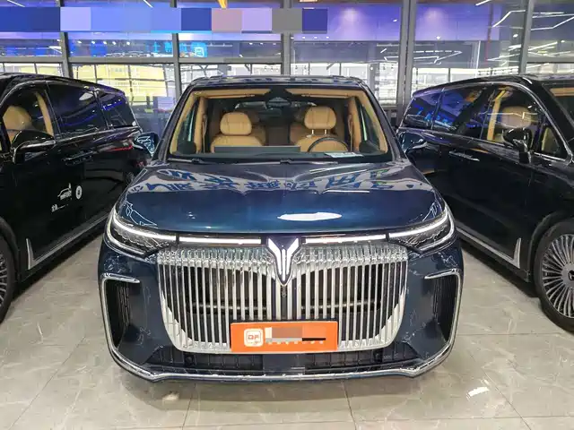 Voyah Auto Voyah Dreamer 2024