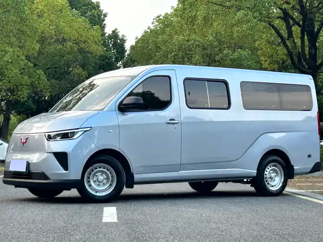 Wuling Motors Wuling Yangguang