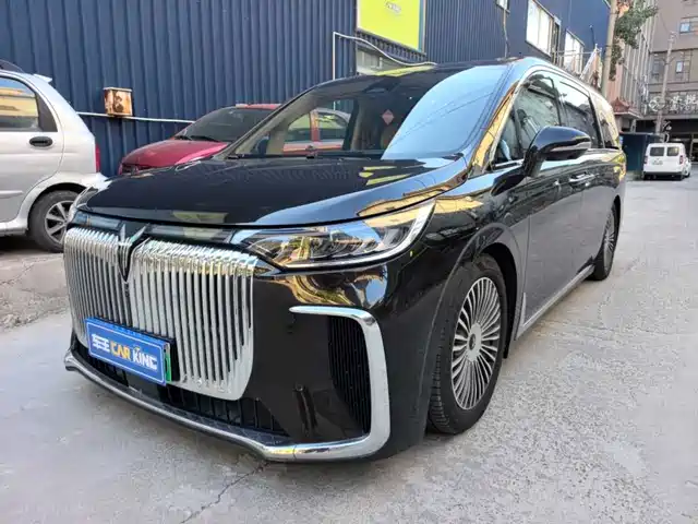 Voyah Auto Voyah Dreamer 2024