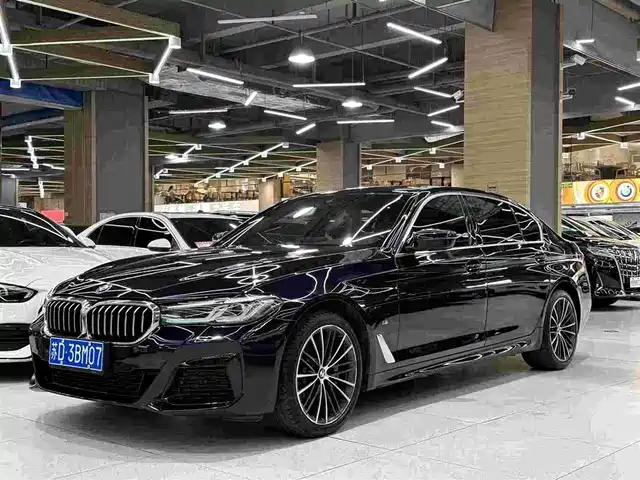 BMW BMW 5 Series 2020