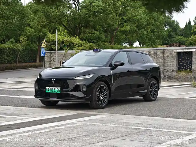Voyah Auto Voyah Zhiyin 2025