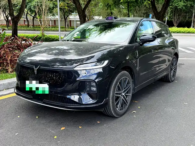 Voyah Auto Voyah Zhiyin 2025