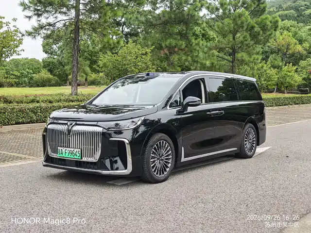 Voyah Auto Voyah Dreamer 2025