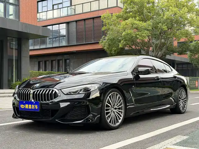 BMW BMW 8 Series 2020