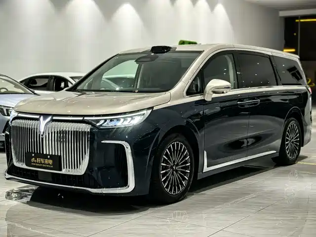 Voyah Auto Voyah Dreamer 2025