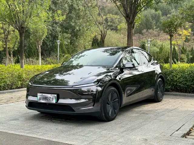Tesla Model Y 2025