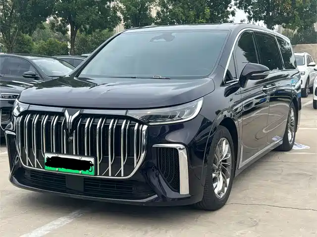 Voyah Auto Voyah Dreamer 2024