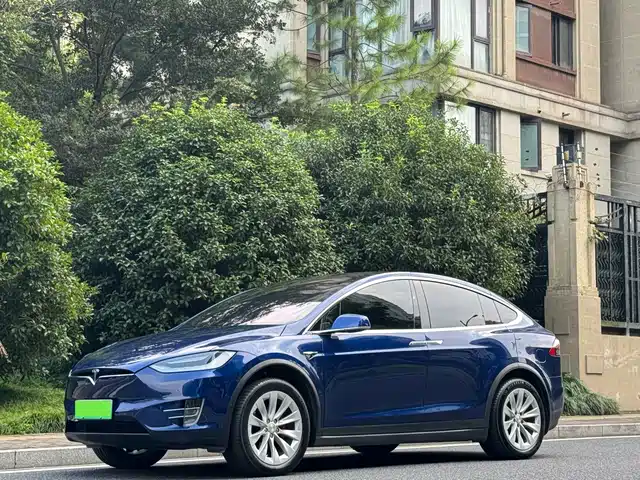 Tesla Model X 2021