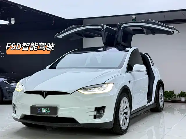 Tesla Model X 2020