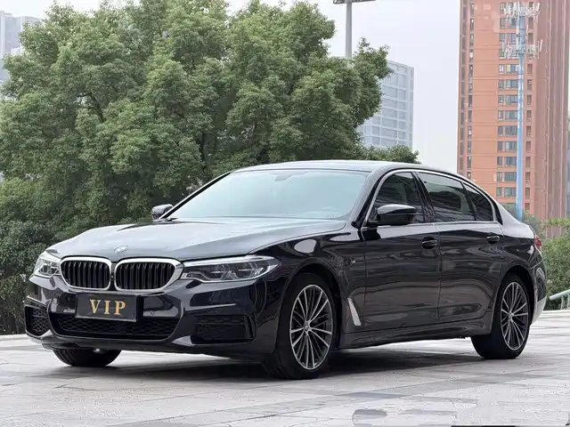 BMW BMW 5 Series 2020