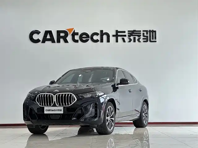 BMW BMW X6