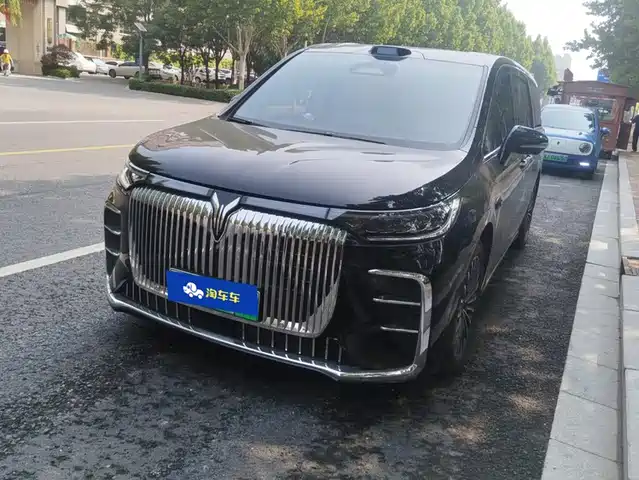 Voyah Auto Voyah Dreamer 2025