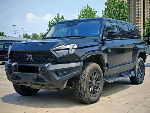 Mengshi Mengshi 917 2024