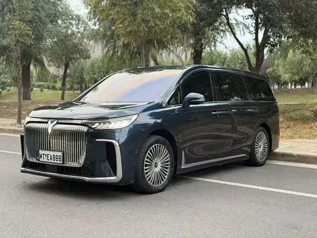 Voyah Auto Voyah Dreamer 2024