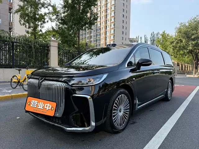 Voyah Auto Voyah Dreamer 2024