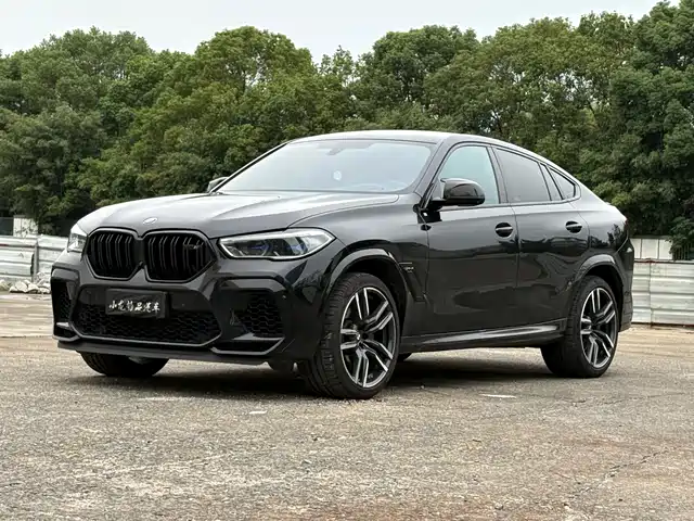 BMW BMW X6 M