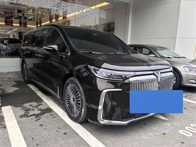 Voyah Auto Voyah Dreamer 2025