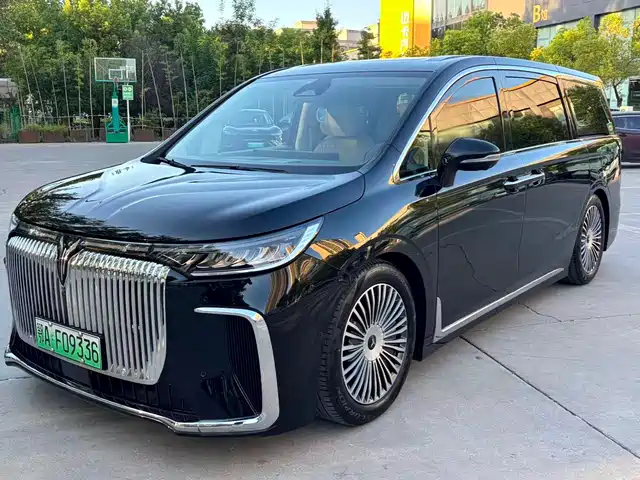 Voyah Auto Voyah Dreamer 2025