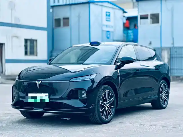 Voyah Auto Voyah Zhiyin