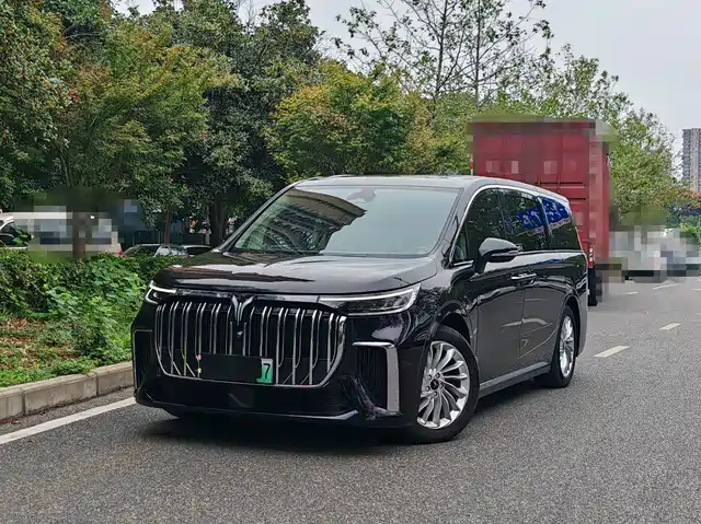 Voyah Auto Voyah Dreamer 2022