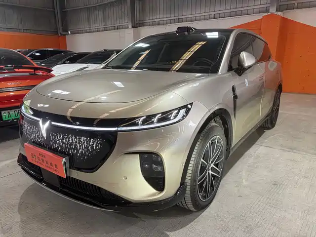 Voyah Auto Voyah Zhiyin 2025