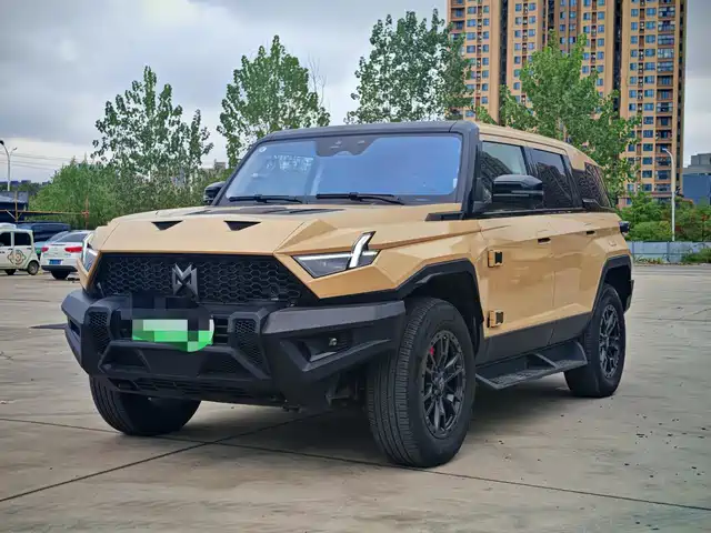 Mengshi Mengshi 917 2024