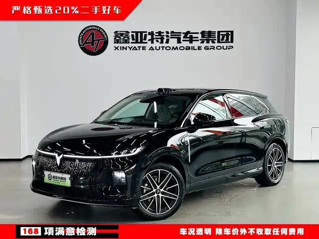 Voyah Auto Voyah Zhiyin 2025