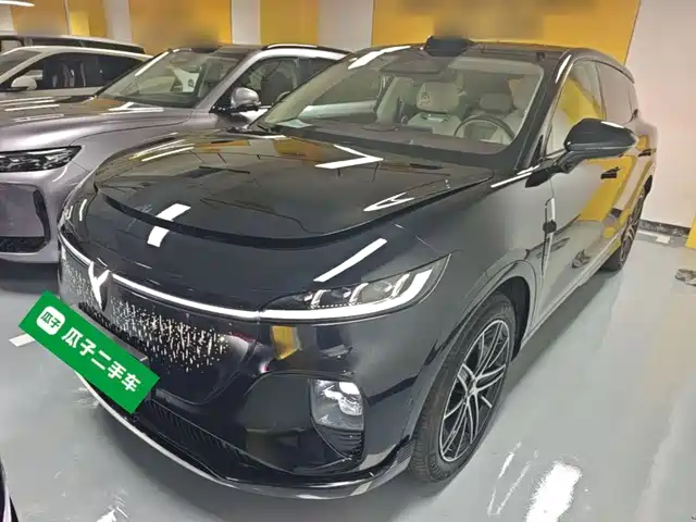Voyah Auto Voyah Zhiyin 2025