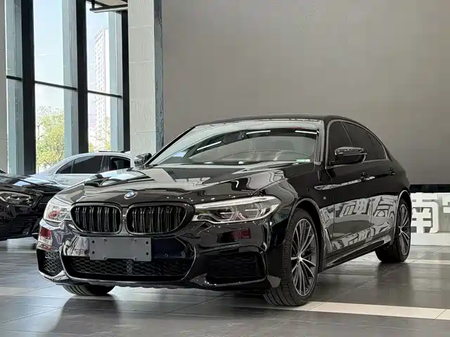 BMW BMW 5 Series 2020