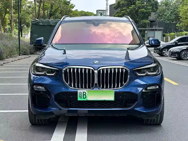 BMW BMW X5 New Energy(Imported)