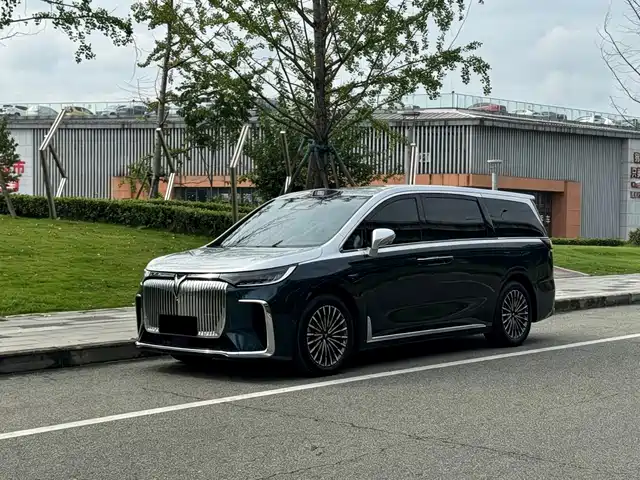 Voyah Auto Voyah Dreamer 2025