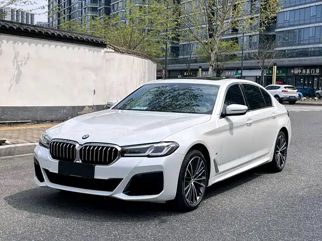 BMW BMW 5 Series 2022