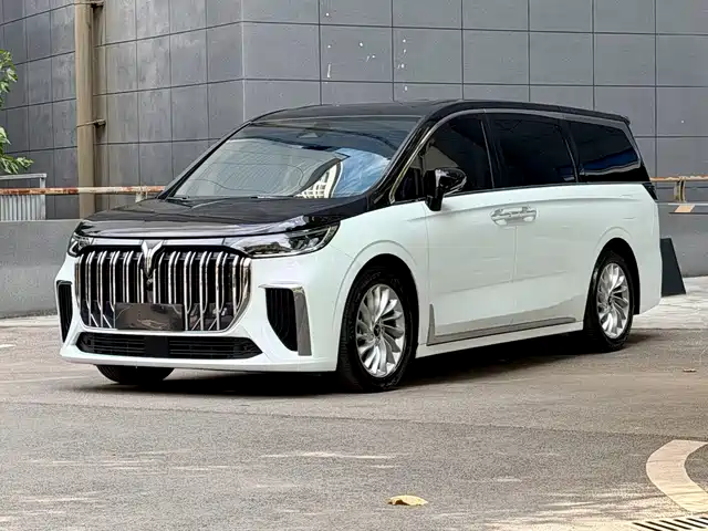 Voyah Auto Voyah Dreamer 2024