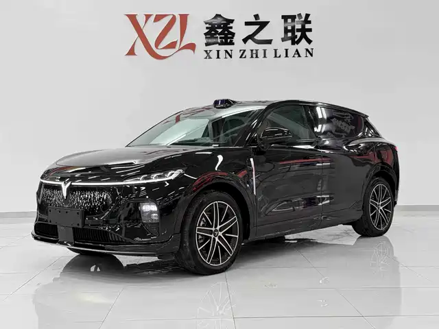 Voyah Auto Voyah Zhiyin 2025