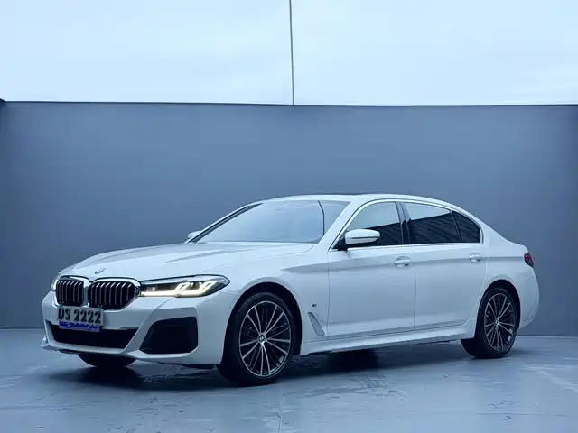 BMW BMW 5 Series 2022