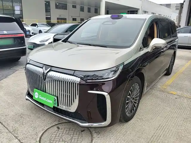 Voyah Auto Voyah Dreamer 2025