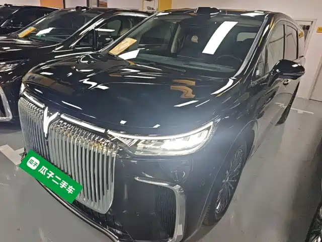 Voyah Auto Voyah Dreamer 2025
