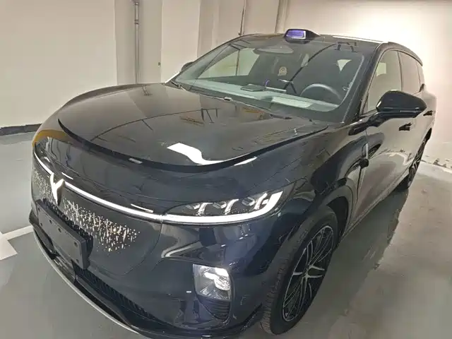 Voyah Auto Voyah Zhiyin 2025
