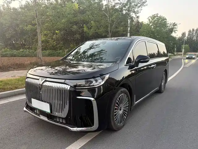 Voyah Auto Voyah Dreamer 2025