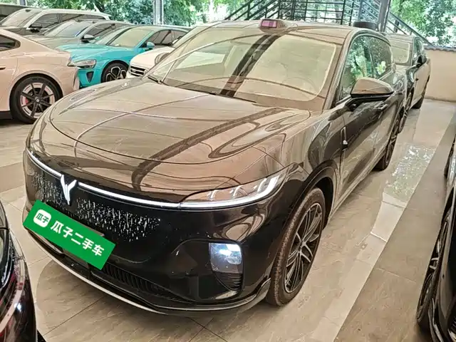 Voyah Auto Voyah Zhiyin 2025