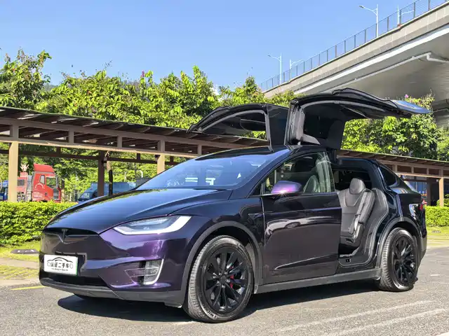 Tesla Model X 2021