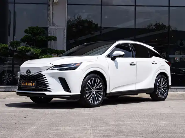 Lexus Lexus RX New Energy