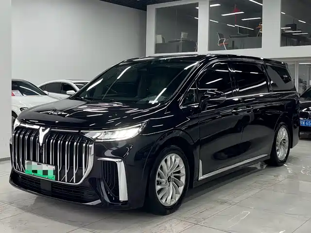 Voyah Auto Voyah Dreamer 2024