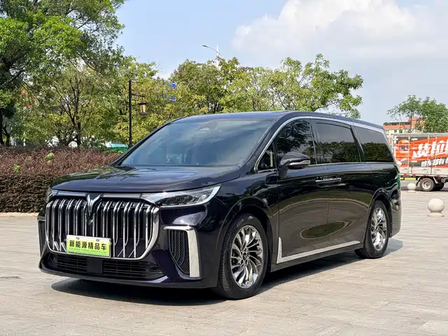 Voyah Auto Voyah Dreamer 2024