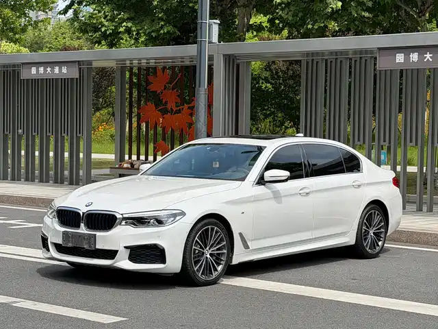 BMW BMW 5 Series 2020