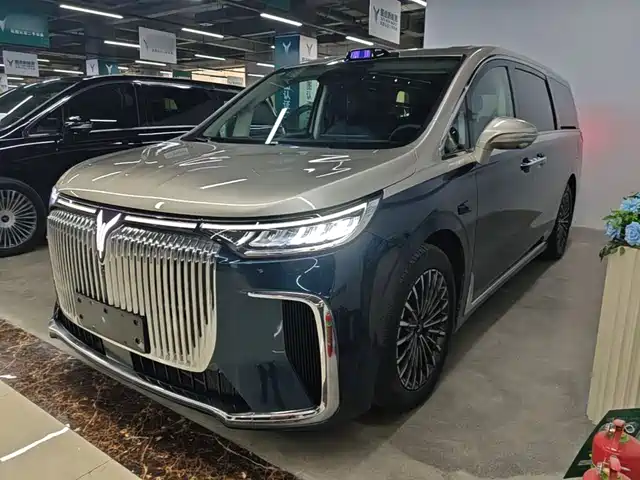 Voyah Auto Voyah Dreamer 2025