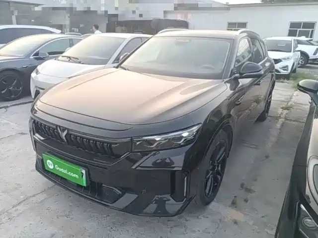 Voyah Auto VOYAH FREE 2024
