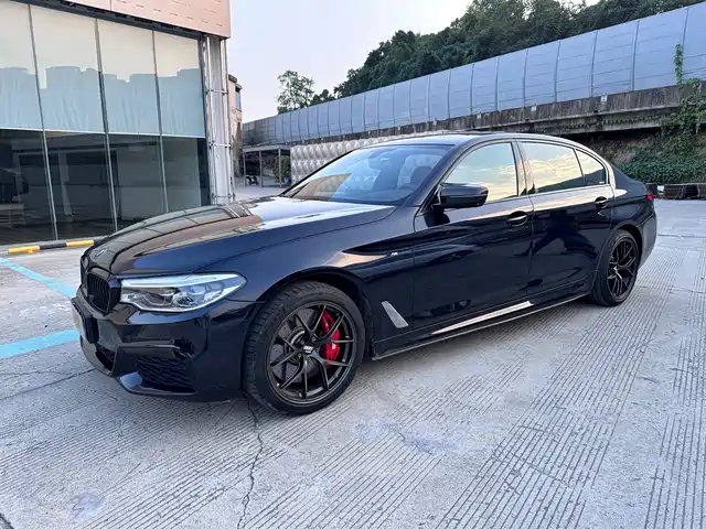 BMW BMW 5 Series 2020