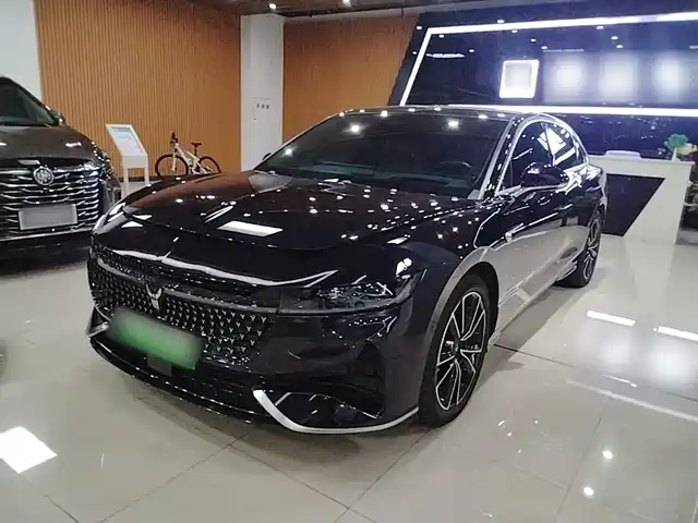 Voyah Auto VOYAH Zhuiguang 2024